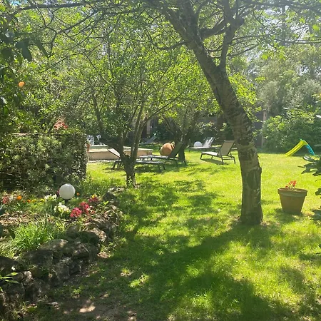 Anitrella Porto-Vecchio (Corsica)